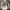 DISCOVERY EXPEDITION Original Windbreaker / Parka Outdoor photo 6