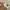Stradivarius - Sling to shoulder bag in sand colour photo 8