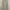 Rok Plisket - Cream Dusty Mauve photo 1