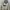 Hoodie Andersson Bell photo 1