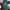 Uniqlo Casual Maxi Skirt Wanita Green