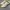 Adidas Samba x AND Past Consortium Cup photo 1