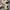 Adidas Samba x AND Past Consortium Cup photo 5
