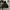 Puffer Hooded Jacket Black  photo 1