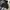 Puffer Hooded Jacket Black  photo 2