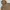 Hoodie Kangol second (3201) photo 2