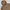 Hoodie Kangol Second (3201)