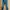 Timberland  Jeans Cordura Fabric