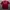 Jersey Home Liverpool 2011/2012