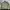 Parental advisory photo 2