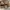 Advantage Realtree Camo “Range Resources” Cap photo 4