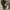 Advantage Realtree Camo “Range Resources” Cap photo 5