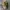 Advantage Realtree Camo “Range Resources” Cap photo 2