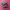 Salomon Xt-6 Goretex Black Silver photo 1