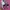 Nike Air Jordan 1 Low photo 2