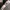 VANS Streetwear Skater Sneakers Pria white black photo 5