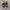 VANS Streetwear Skater Sneakers Pria white black photo 3