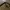 Y2K Indie Sunglass Pria black photo 4