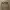 Y2K Indie Sunglass Pria black photo 6