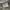 Carhartt Ripstop Camo Cargo Pants photo 7