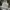 Carhartt Ripstop Camo Cargo Pants photo 8