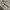 Carhartt Ripstop Camo Cargo Pants photo 4
