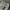 Carhartt Ripstop Camo Cargo Pants photo 6