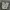 Carhartt Ripstop Camo Cargo Pants