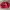 Champion Vintage Y2K Sweatshirt Pria Red