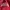 Champion Vintage Y2K Sweatshirt Pria red photo 2