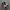 nike jordan low  photo 3