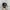 Snaphyflat 149 photo 1