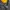 Jacket NHL PITTSBURGH PENGUINS (STARTER) photo 5
