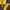 Jacket NHL PITTSBURGH PENGUINS (STARTER) photo 4