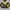 Jacket NHL PITTSBURGH PENGUINS (STARTER) photo 1