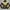 Jacket NHL PITTSBURGH PENGUINS (STARTER)