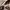 Ladysun Korean Fleece Simple Script Eimbordery Sweatshirt photo 6