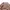 Ladysun Korean Fleece Simple Script Eimbordery Sweatshirt photo 3