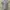 Burberry London Blue Label Fitted Shirts photo 8