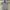 Burberry London Blue Label Fitted Shirts photo 1