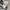 Burberry London Blue Label Fitted Shirts photo 7