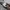 Olzen photo 8