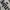 hoodie vintage the beatles photo 2
