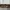 OBI BELT KAYU  photo 2