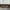 OBI BELT KAYU 