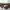 OBI BELT KAYU  photo 6