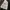 Nike Big Swoosh Logo Nylon Jogger  photo 6