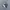 New Balance Fresh Foam More Trail V3 Slate Gray photo 1