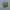 New Balance Fresh Foam More Trail V3 Salt Marsh Limelight photo 5