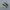 New Balance Fresh Foam More Trail V3 Salt Marsh Limelight photo 2